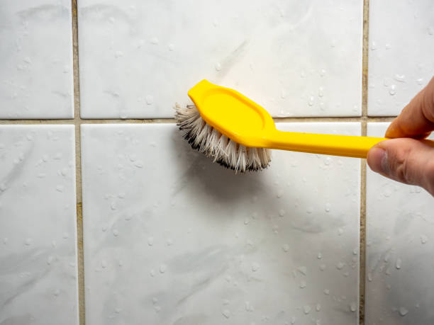 Best Emergency Mold Removal  in Bay, AR