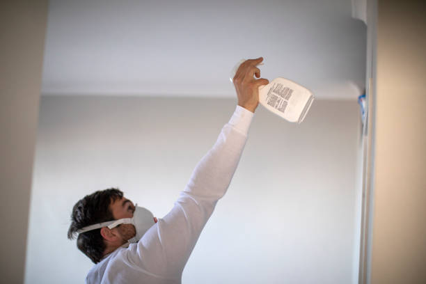 Best Mold Cleaning Services  in Bay, AR