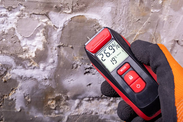 Attic Mold Removal in Bay, AR